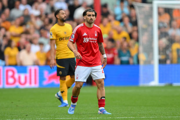 季的一大亮 季的一大亮