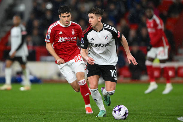 张本智和的 张本智和的