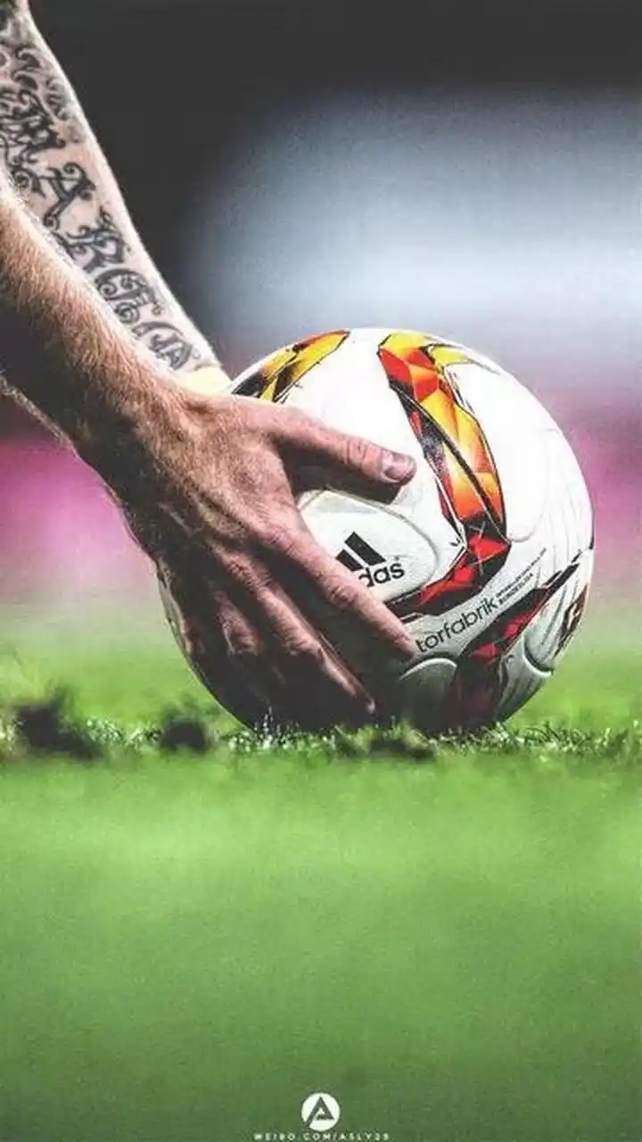 了該市作為 了該市作為